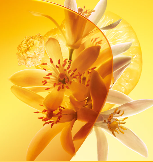 Sun Song